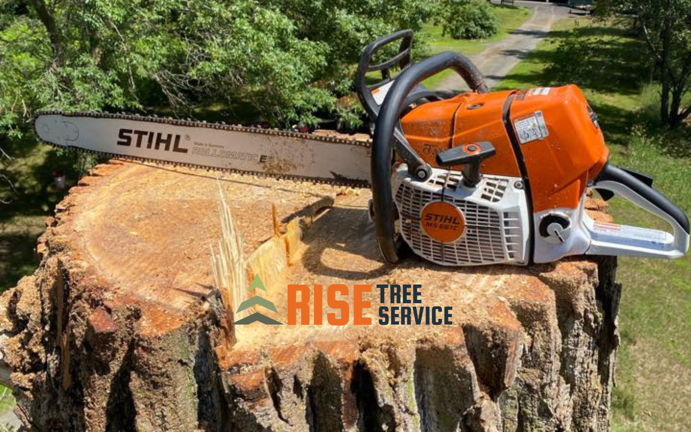 Tree Removal Services