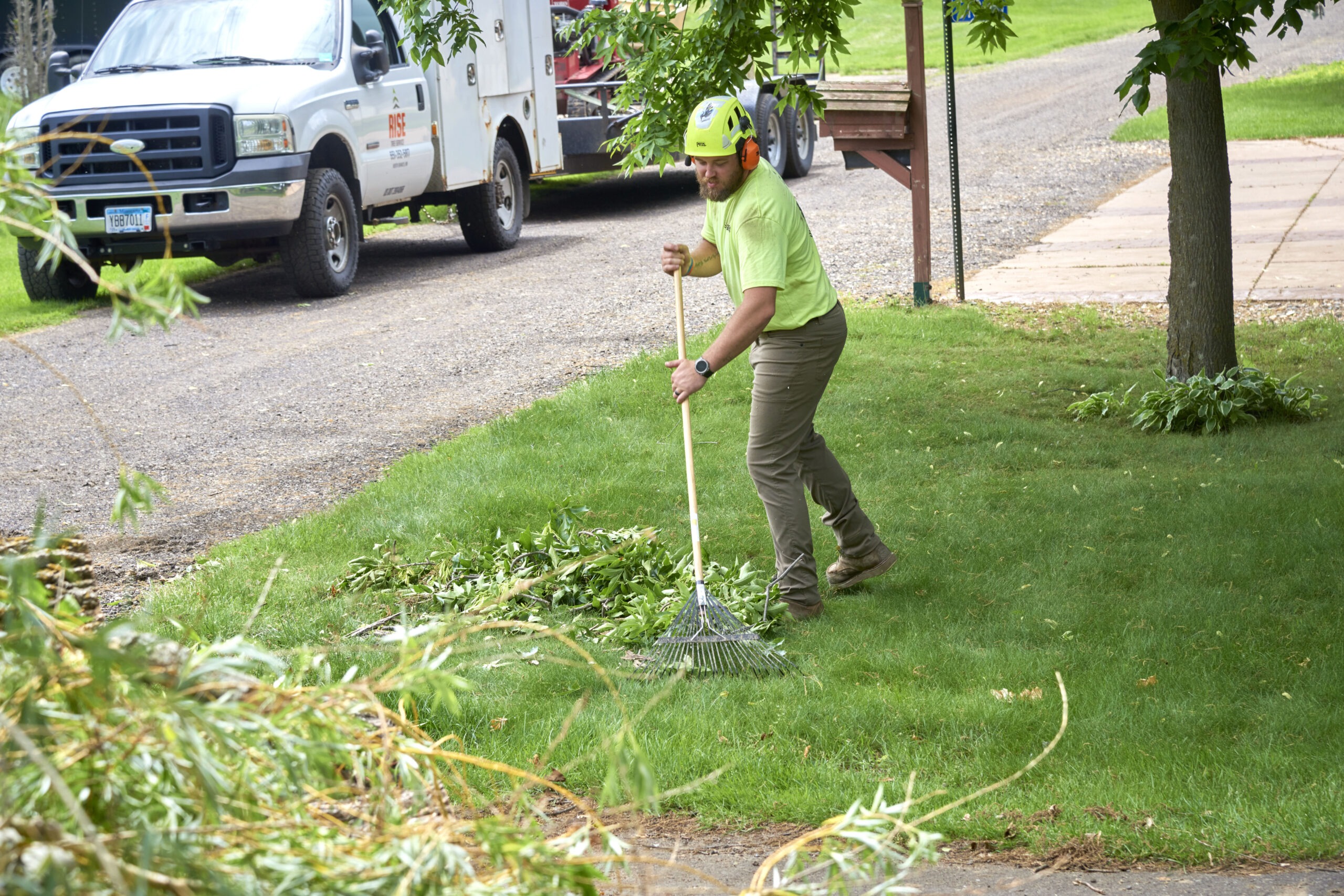 Tree Removal North Branch