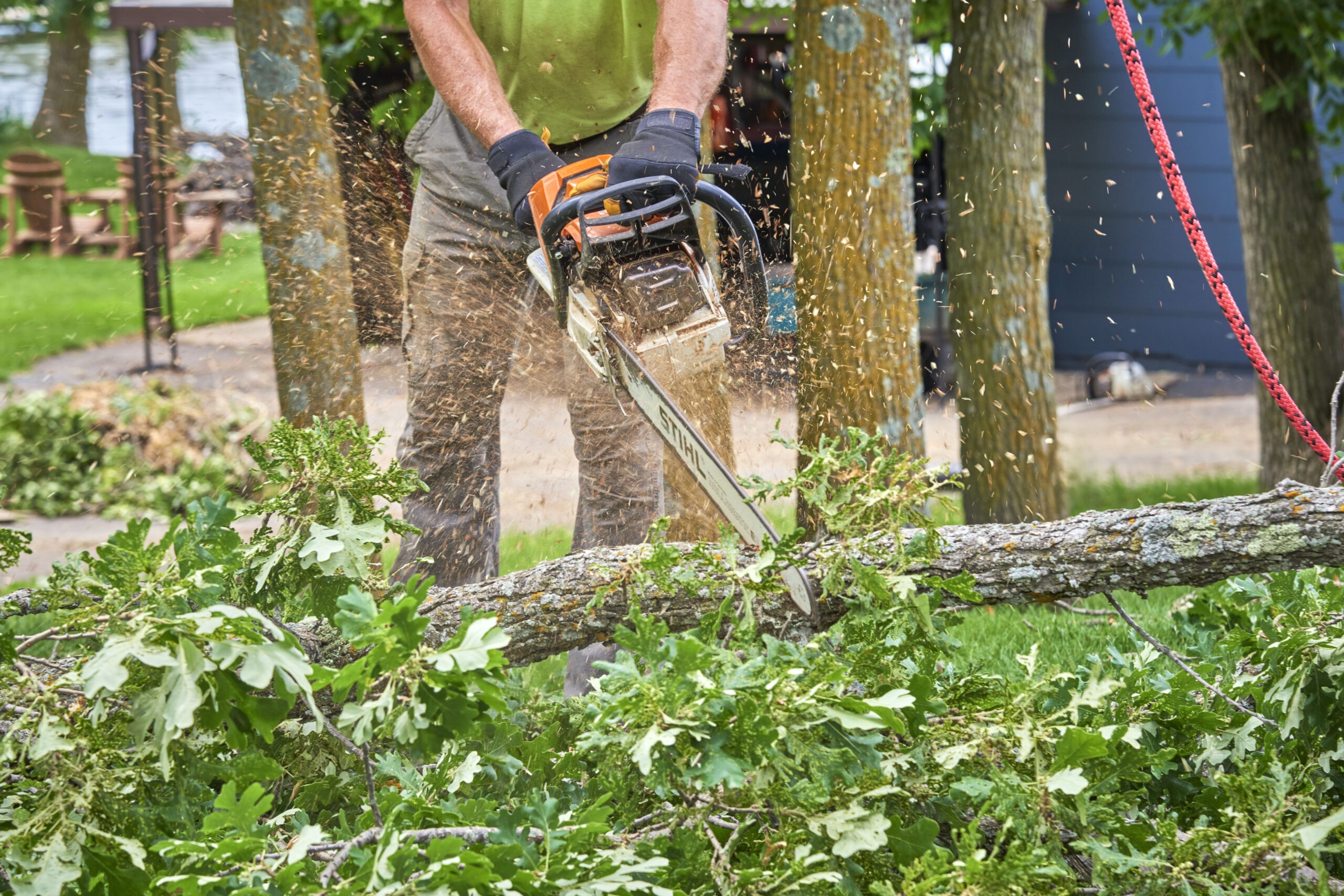 North Branch Tree Removal