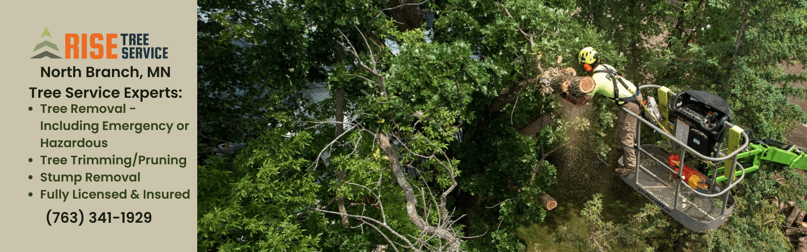 Tree Removal Services - North Branch, MN